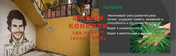 гашик Верея