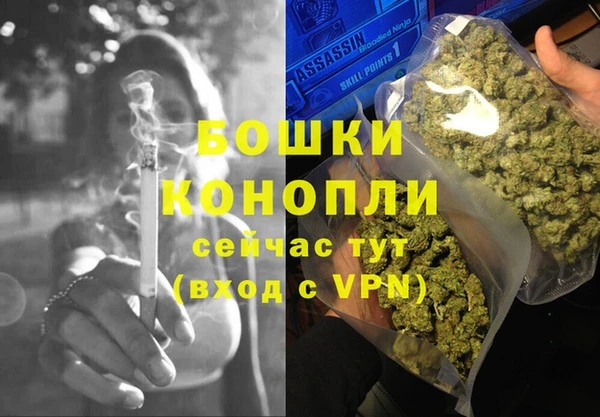 гашик Верея