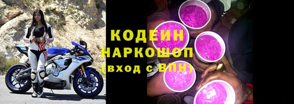 гашик Верея