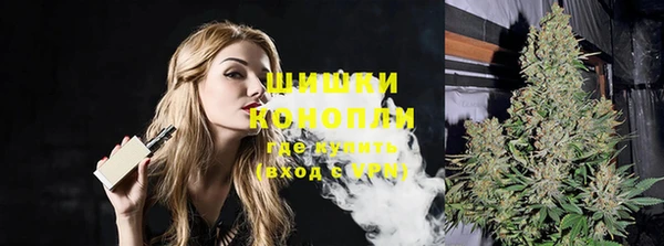 гашик Верея